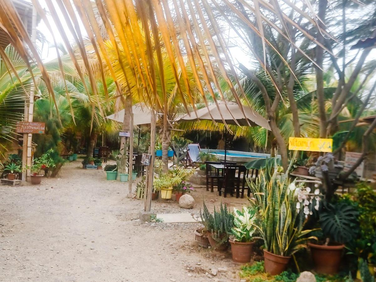 Guacamayo Bed & Breakfast Máncora Eksteriør billede